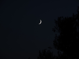 La Lune 19 juillet (3)